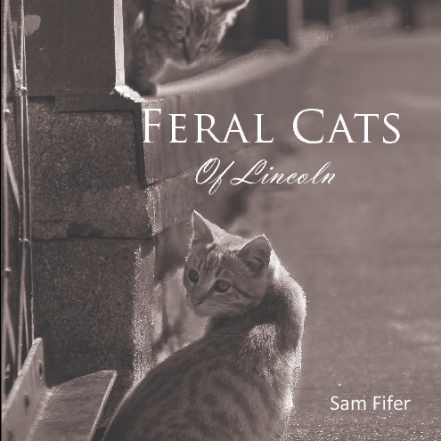 View Feral Cats of Lincoln by Sam Fifer