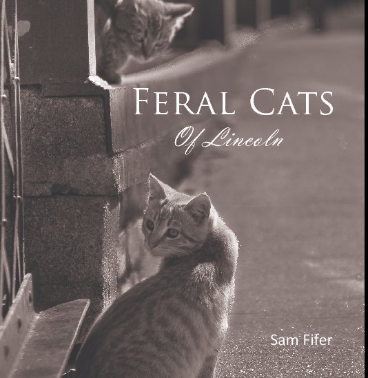 Feral Cats of Lincoln nach Sam Fifer anzeigen