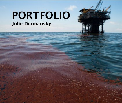 PORTFOLIO Julie Dermansky book cover