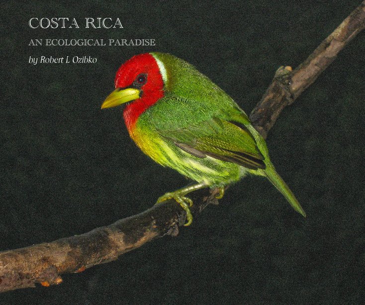 Ver COSTA RICA por Robert L Ozibko