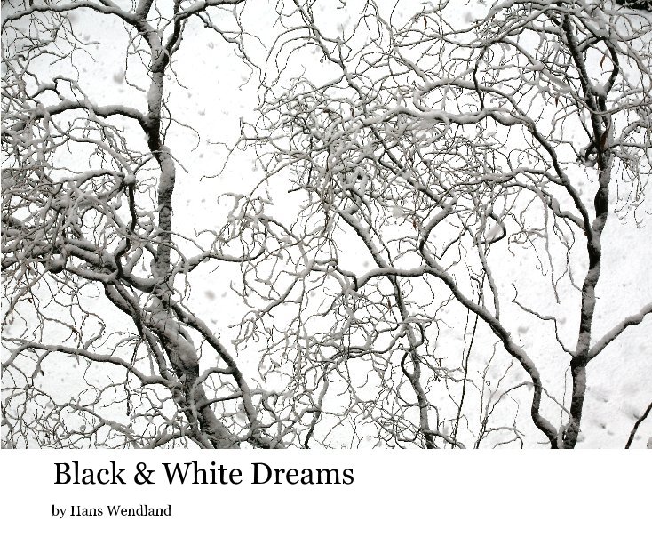 View Black & White Dreams by Hans Wendland