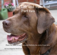 Coco the Life and Time's of Part two book cover