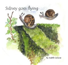 Sidney goes flying book cover