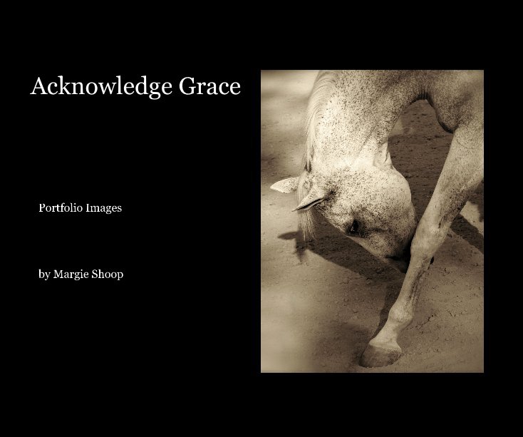 View Acknowledge Grace by Margie Shoop