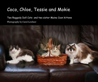 Coco, Chloe, Tessie and Mokie book cover