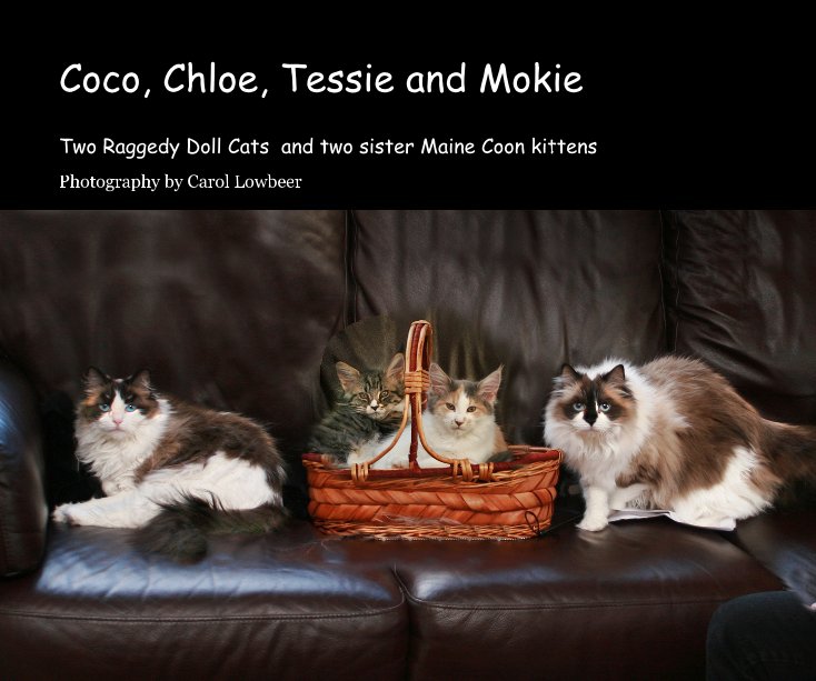 Ver Coco, Chloe, Tessie and Mokie por Photography by Carol Lowbeer
