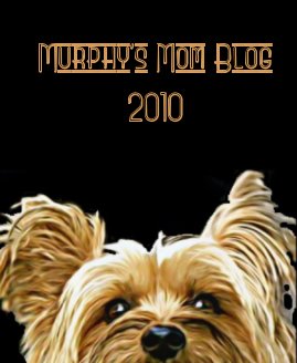 Murphy's Mom Blog 2010 book cover