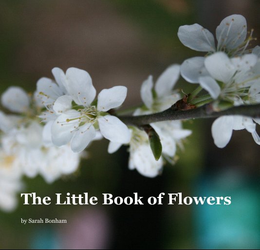 Ver The Little Book of Flowers por Sarah Bonham