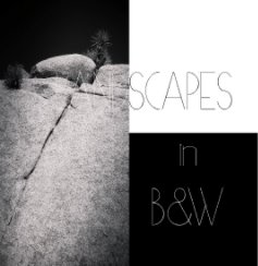Landscapes in Black and White book cover