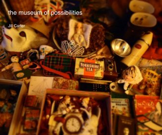 the museum of possibilities book cover