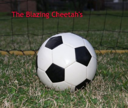 The Blazing Cheetah's book cover