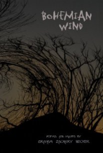 Bohemian Wind book cover