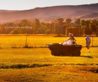 a colorado wedding book cover