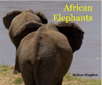 African Elephants book cover