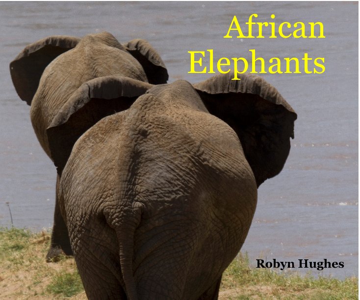 View African Elephants by Robyn Hughes