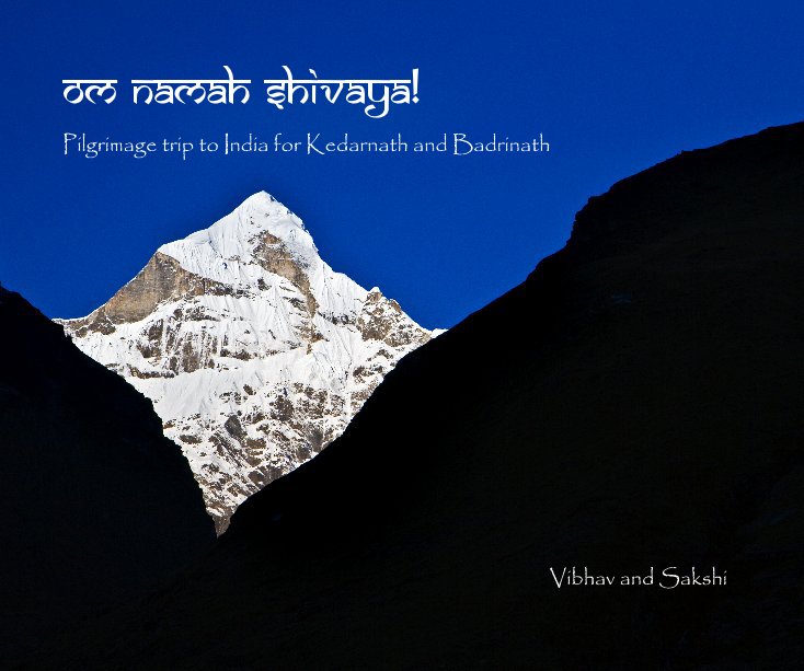 View Om Namah Shivaya! by Vibhav and Sakshi