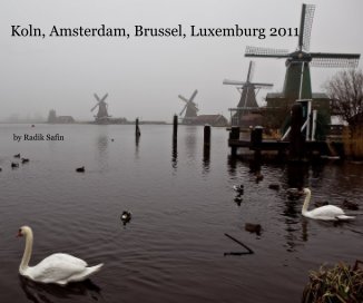 Koln, Amsterdam, Brussel, Luxemburg 2011 book cover