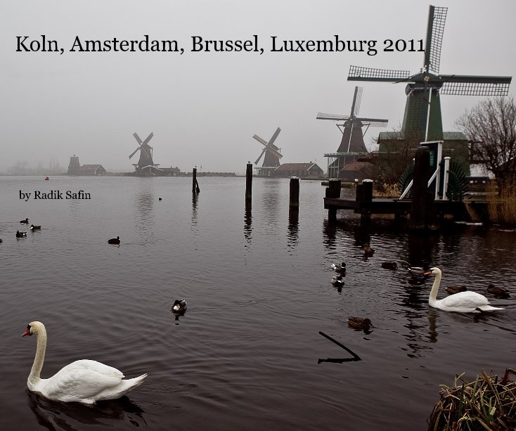 Koln, Amsterdam, Brussel, Luxemburg 2011 nach Radik Safin anzeigen