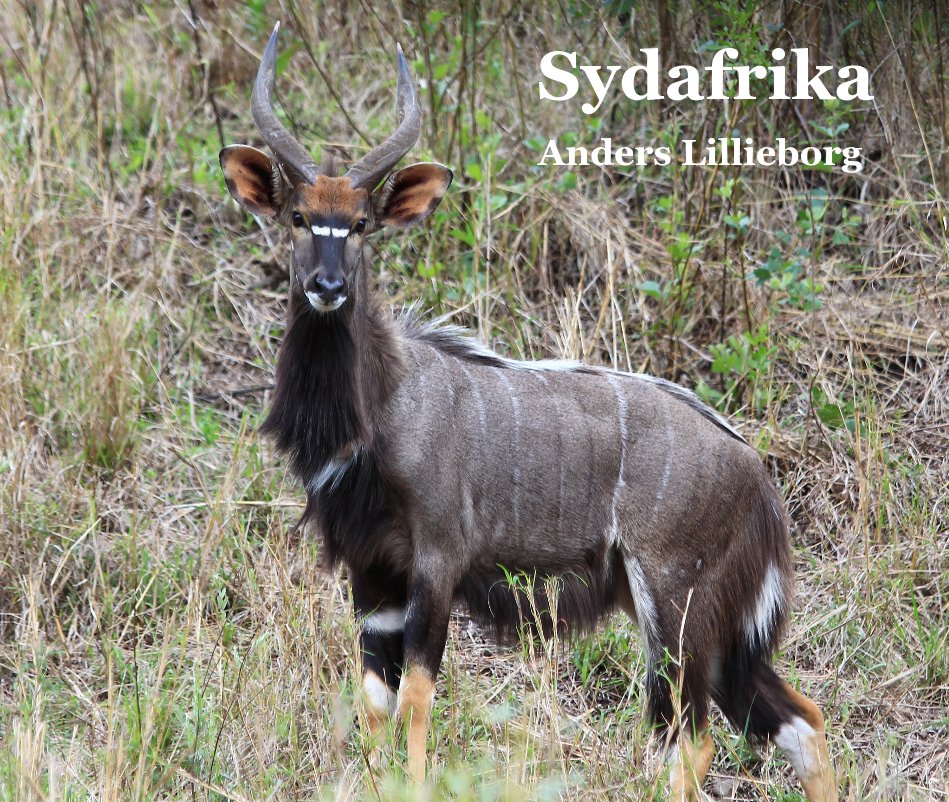 Sydafrika nach Anders Lillieborg anzeigen