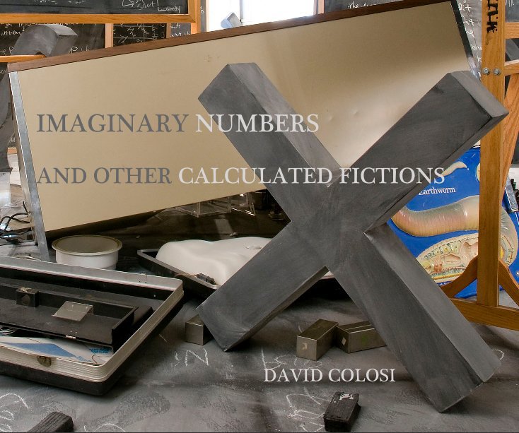 Ver IMAGINARY NUMBERS AND OTHER CALCULATED FICTIONS por DAVID COLOSI