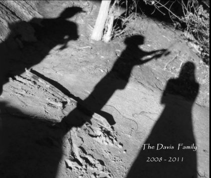The Davis Family 2008 - 2011 book cover