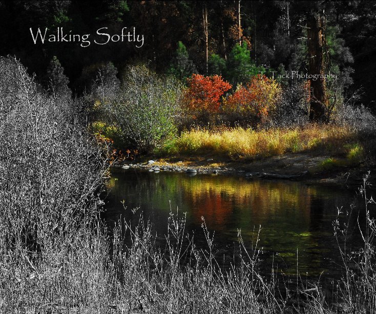 View Walking Softly by T. Tack Photography