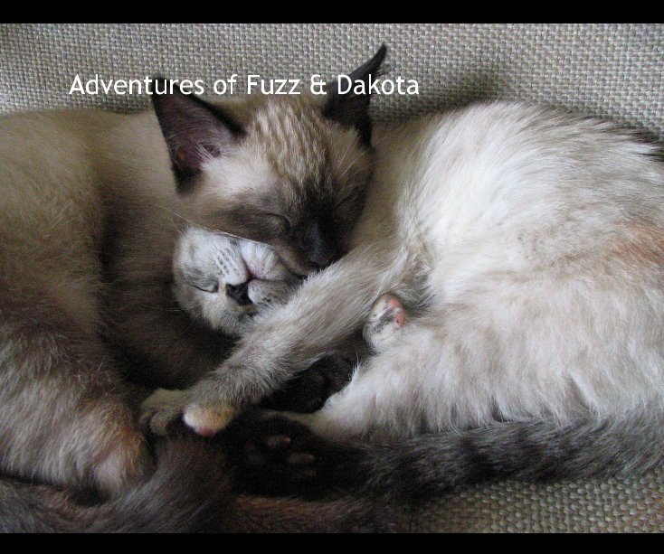 Ver Adventures of Fuzz & Dakota por Win Noren