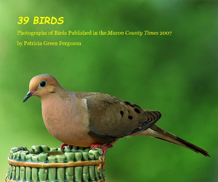 View 39 BIRDS by Patricia Green Ferguson