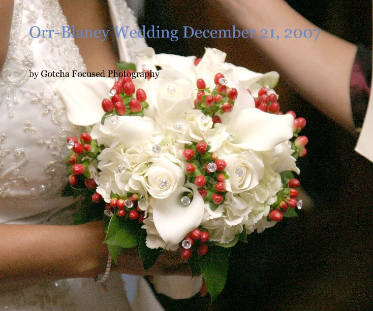 Ver Orr-Blaney Wedding December 21, 2007 por Gotcha Focused Photography
