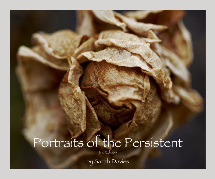 View Portraits of the Persistent by Sarah Davies