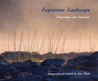 Expressive Landscape book cover