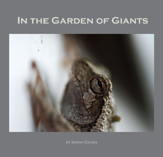 View In the Garden of Giants by Sarah Davies