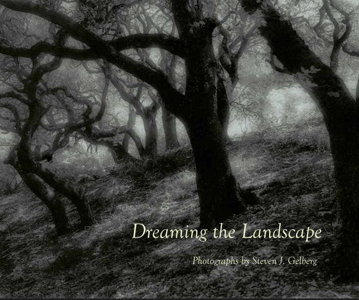 View Dreaming the Landscape by Steven J Gelberg
