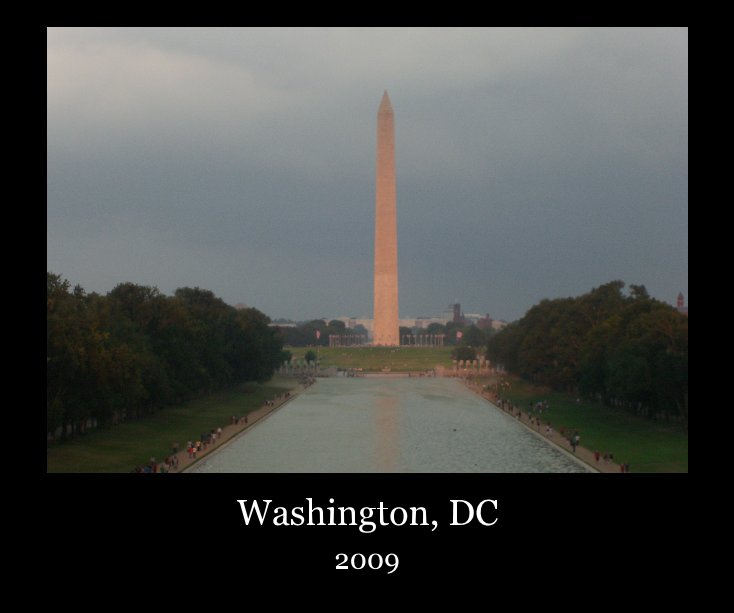 View Washington, DC by Odessa Joy Molina