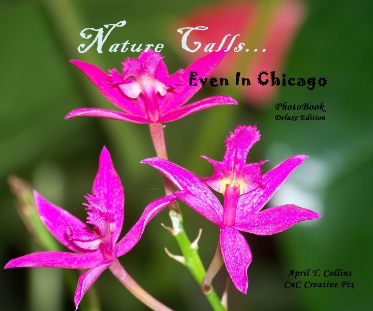 View Nature Calls... Even In Chicago by April T. Collins CnC Creative Pix