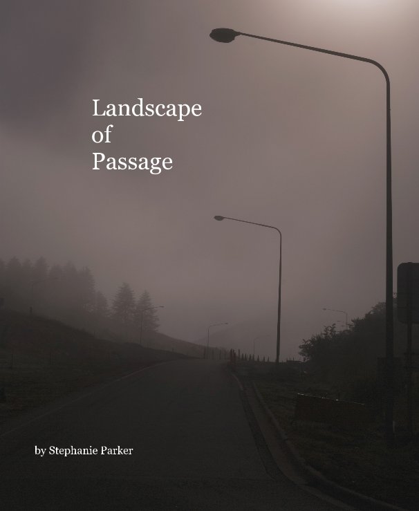 View Landscape of Passage by Stephanie Parker