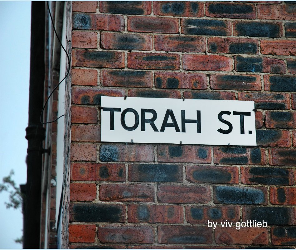 View Torah Street by viv gottlieb