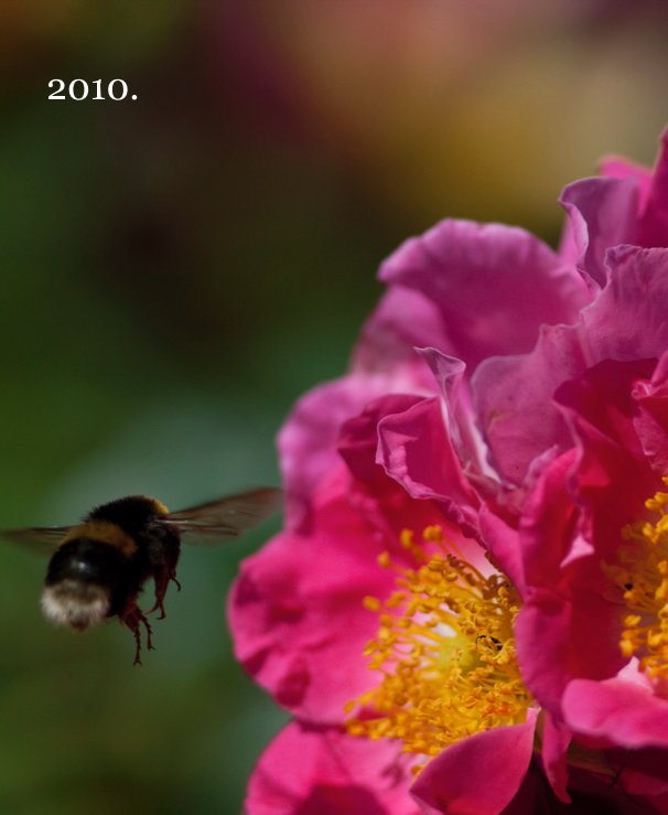 View 2010. by Jessika and Neil Ross