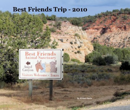 Best Friends Trip - 2010 book cover