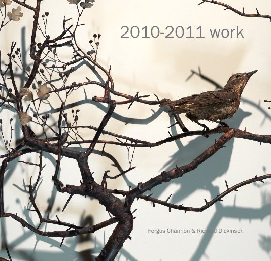 Visualizza 2010-2011 work di Fergus Channon & Richard Dickinson