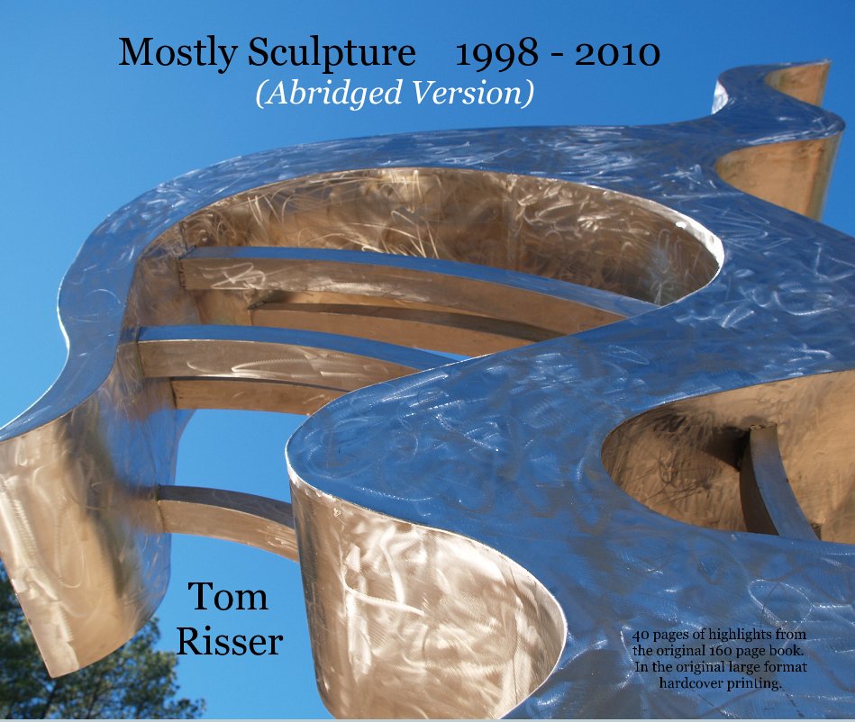 View Mostly Sculpture 1998 - 2010 (Abridged Version) by Tom Risser