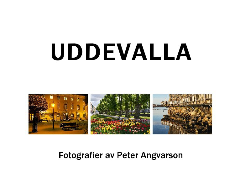 View Uddevalla by Peter Angvarson