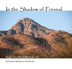 In the Shadow of Fresnal book cover
