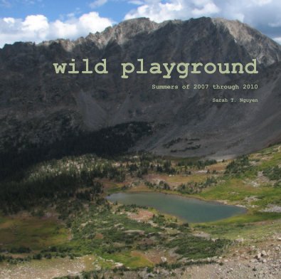 wild playground book cover