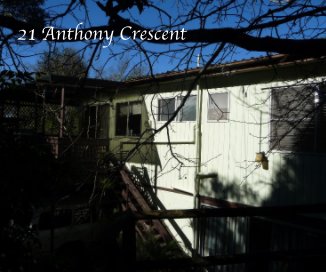 21 Anthony Crescent book cover