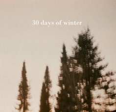 30 days of winter book cover