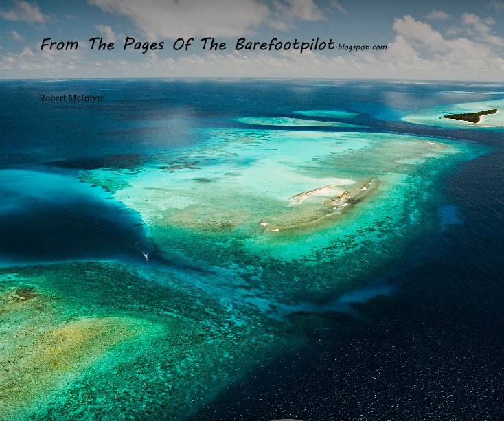 View From The Pages Of The Barefootpilot.blogspot.com by Robert McIntyre