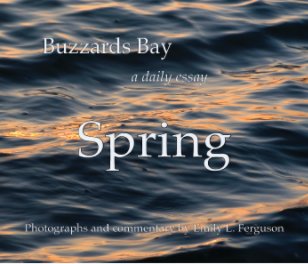 Buzzards Bay - Spring book cover