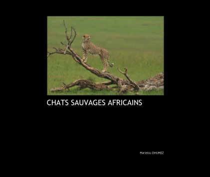 CHATS SAUVAGES AFRICAINS book cover