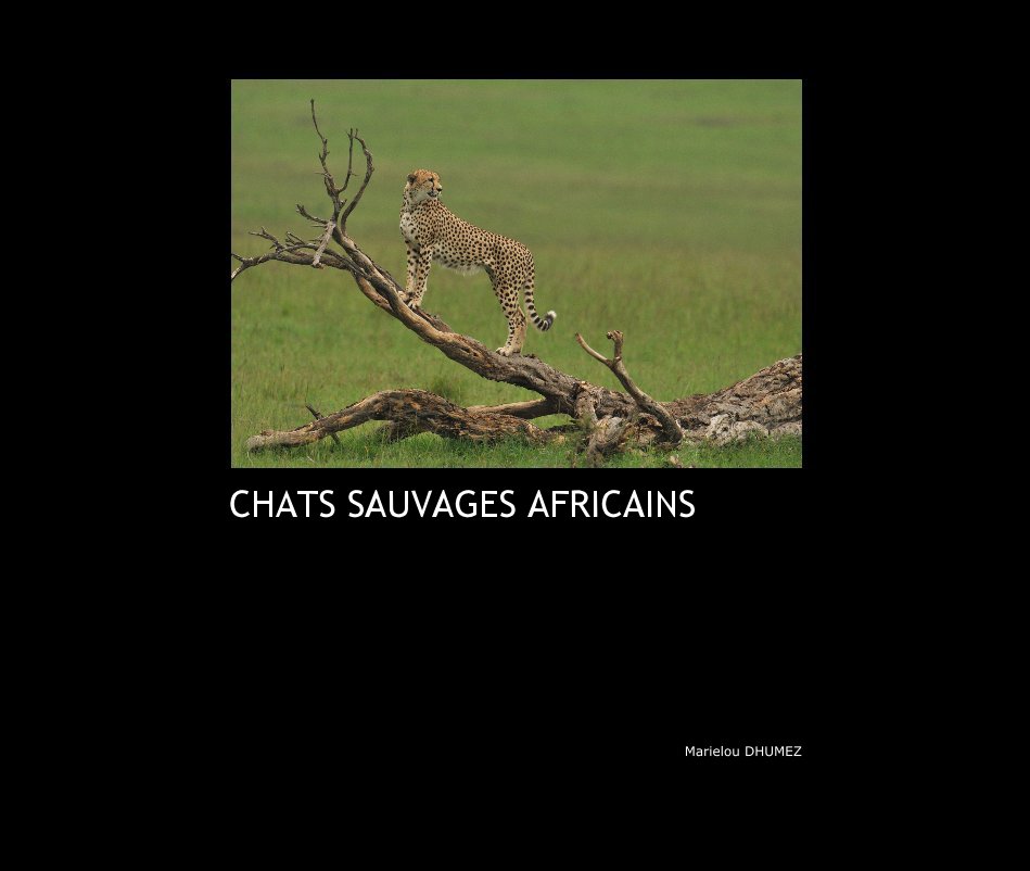 Ver CHATS SAUVAGES AFRICAINS por Marielou DHUMEZ